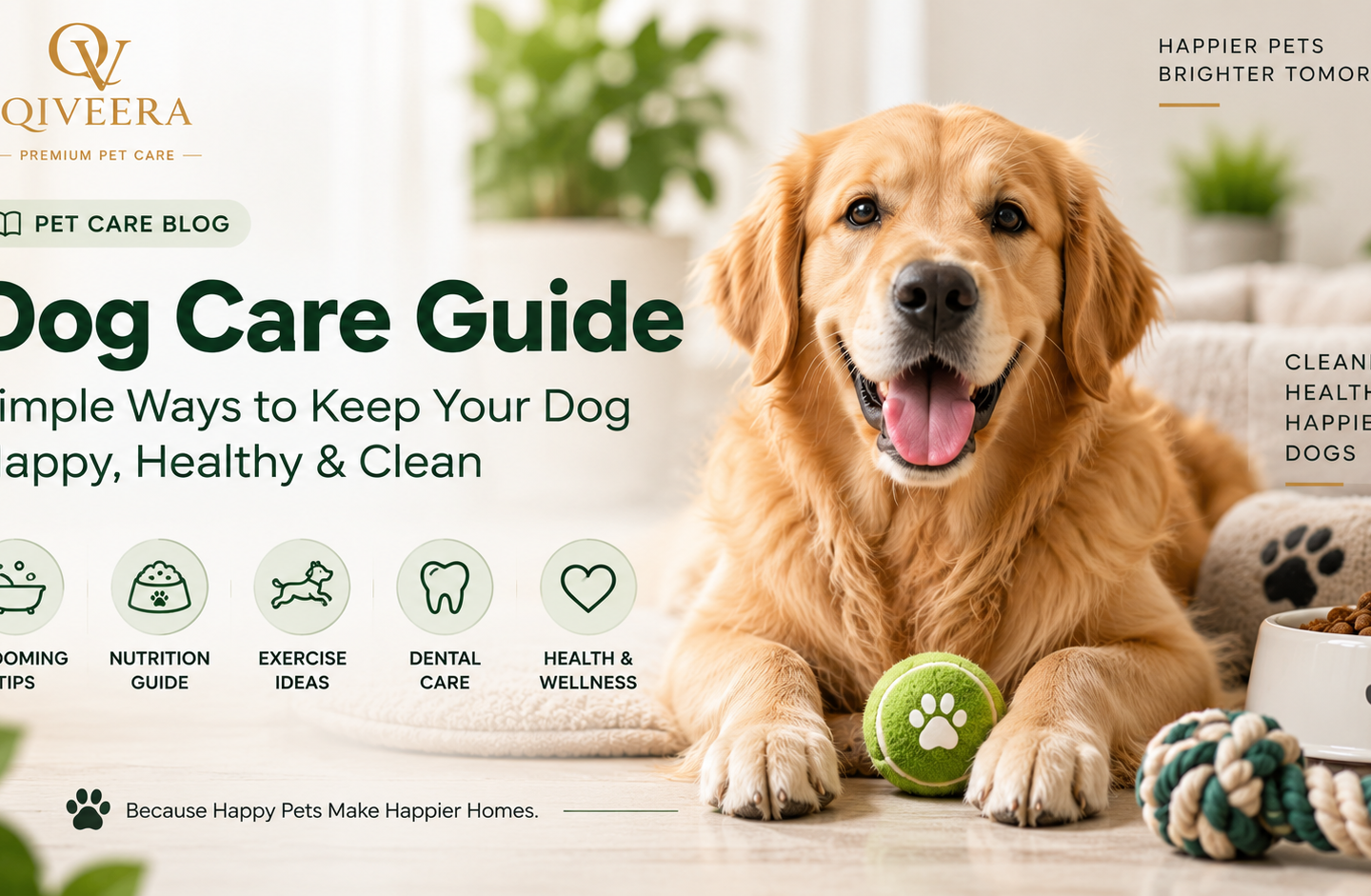 Dog Care Guide